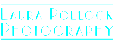 laura pollock photography